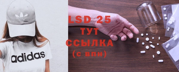 PSILOCYBIN Беломорск