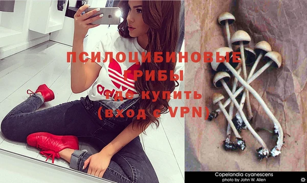 PSILOCYBIN Беломорск