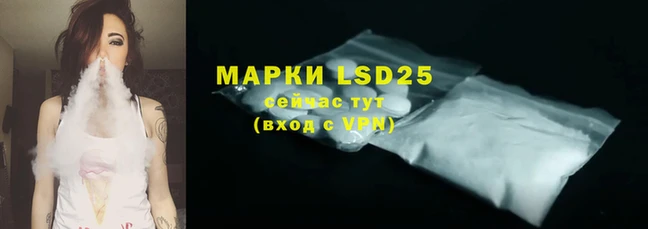 PSILOCYBIN Беломорск
