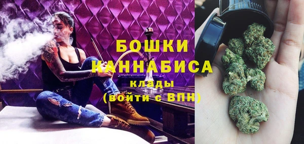 PSILOCYBIN Беломорск