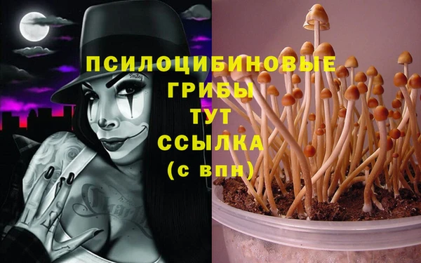 таблы Богородск