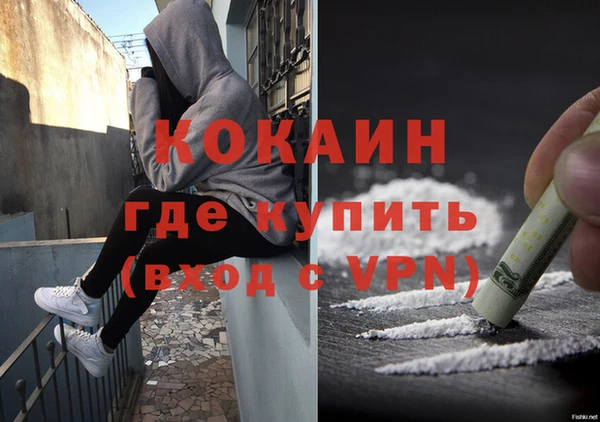 PSILOCYBIN Беломорск
