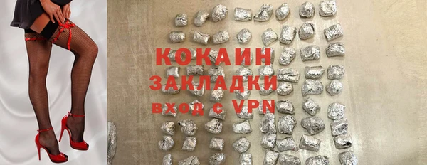 твердый Богородицк