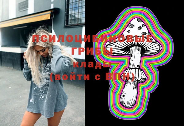 мдпв Белокуриха