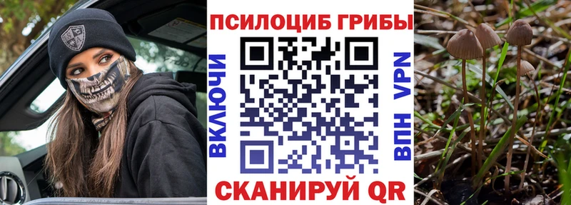 Псилоцибиновые грибы ЛСД  наркотики  Карпинск 